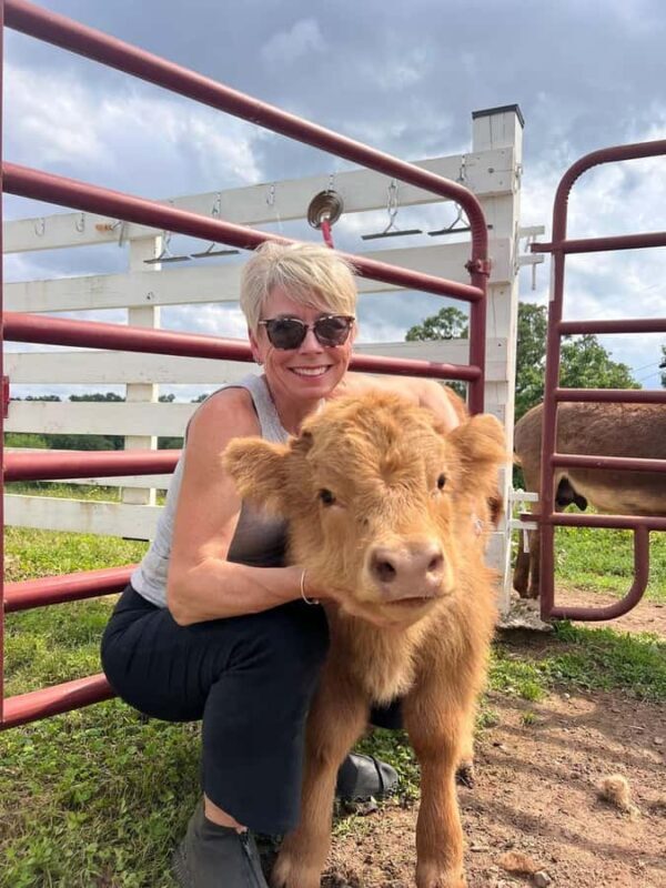 Tennessee: Fluffy Highland Cow Experience + Gelato & Coffee - What’s Included and Practical Info