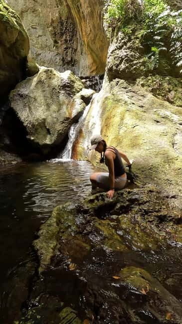 Teno Waterfalls and the Tropical Jungle of Tenerife - What’s Included and What to Bring