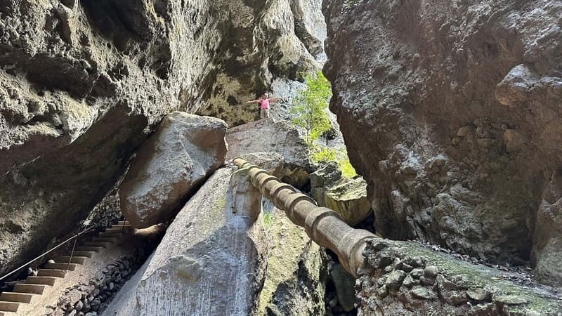 Teno Waterfalls and the Tropical Jungle of Tenerife - Authentic Experiences and Traveler Feedback