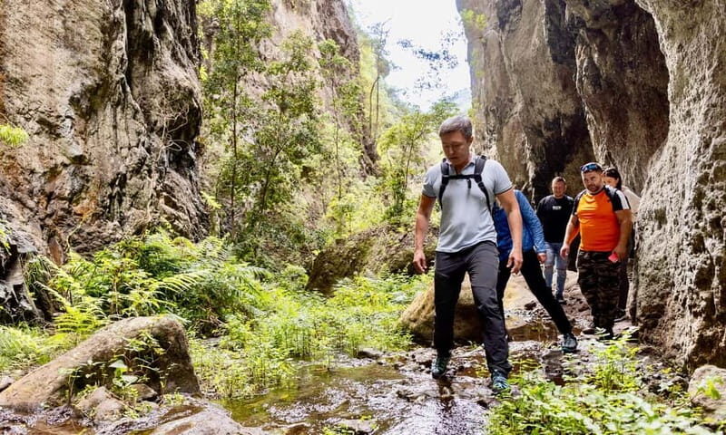 Teno Waterfalls and the Tropical Jungle of Tenerife - Final Thoughts: Who Should Consider This Tour?