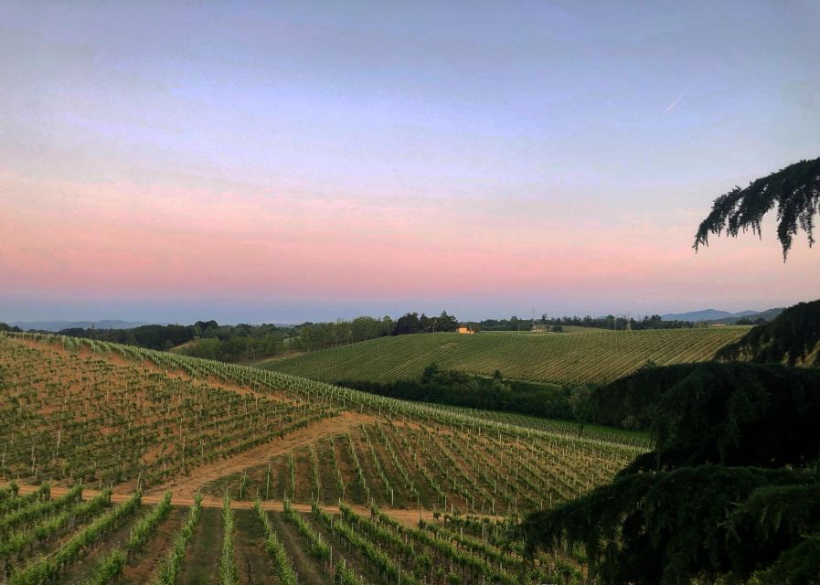 Tenuta San Lorenzo: Classic Wine Tasting and Winery Tour - Recap