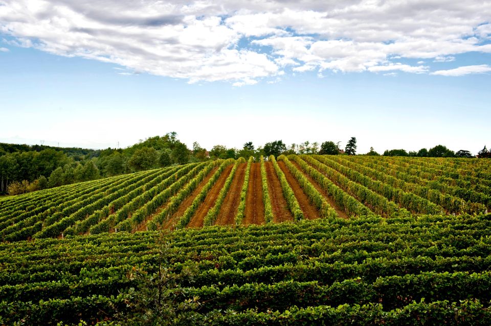 Tenuta San Lorenzo: Wine Tasting and Winery Tour - Frequently Asked Questions