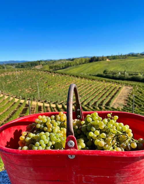 Tenuta San Lorenzo: Wine Tasting and Winery Tour - Recap