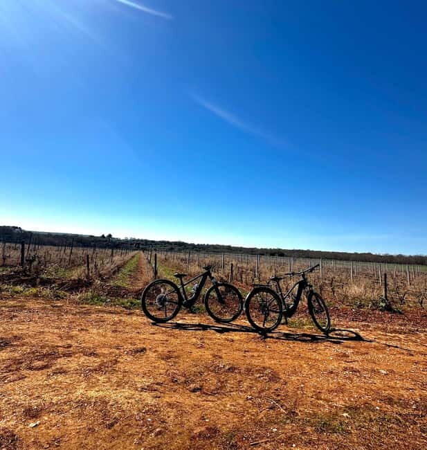 Tenute Girolamo: Wine & Bike Tour in the Itria Valley - Key Points