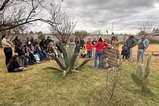 Teotihuacan and Basilica of Guadalupe, 1 to 11 PASSENGERS. - The Value of the Tour: What’s Included and What’s Not