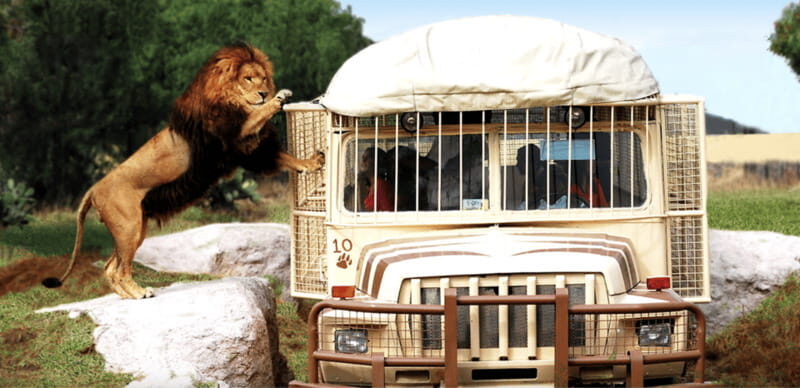 Teotihuacan: Entrance to Animal Kingdom Park; Adventure & Nature - Key Points