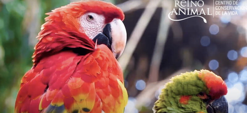 Teotihuacan: Entrance to Animal Kingdom Park; Adventure & Nature - Final Thoughts