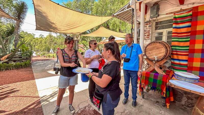 Teotihuacan: Full Guided Tour & Guadalupe Shrine Day Trip - Who Will Love This Tour?