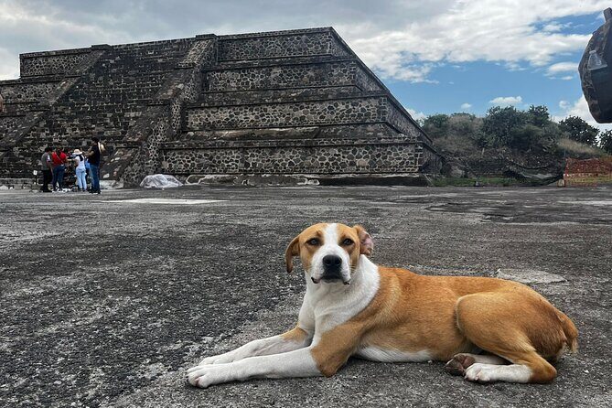 Teotihuacan magical private tour, with pulque tasting - FAQ