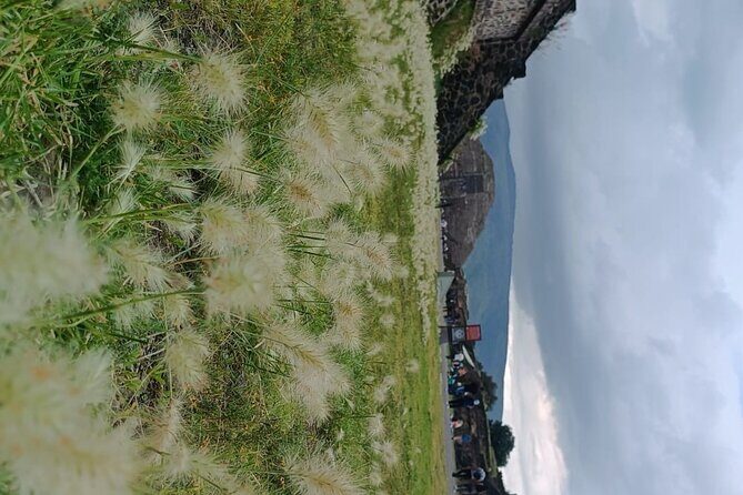 Teotihuacan Pyramids small groups and Basilica of Guadalupe - Exploring the Mysteries of Teotihuacan