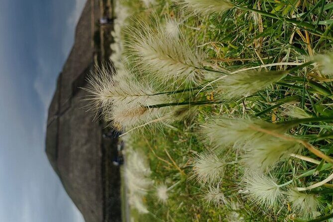 Teotihuacan Pyramids small groups and Basilica of Guadalupe - Final Thoughts
