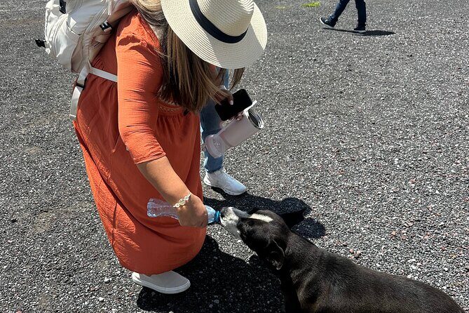 Teotihuacan Sunrise Tour from Mexico City - The Cost and Why It’s Worth It