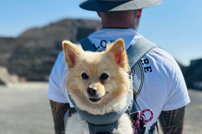 Teotihuacan Sunrise Tour from Mexico City - The Sum Up