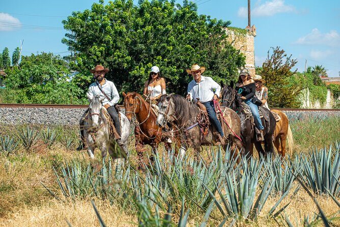 Tequila Agave & Rural Horseback Adventure in El Arenal - The Meeting Point and Timing