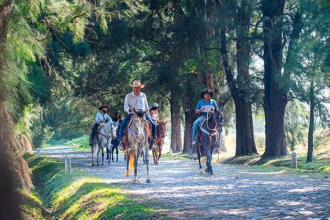 Tequila Agave & Rural Horseback Adventure in El Arenal - What Travelers Might Consider