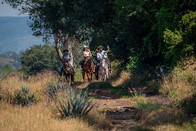 Tequila Agave & Rural Horseback Adventure in El Arenal - Authenticity, Value, and Practical Tips