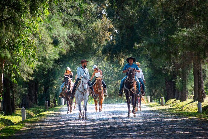 Tequila Agave & Rural Horseback Adventure in El Arenal - Who Will Love This Tour?