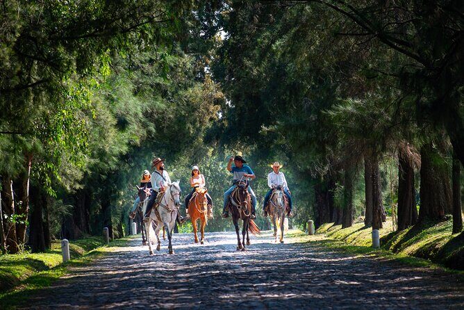 Tequila Agave & Rural Horseback Adventure in El Arenal - Frequently Asked Questions