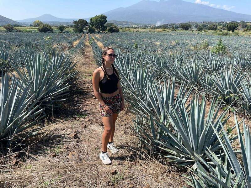 Tequila and Cantaritos Tour from Guadalajara - Key Points