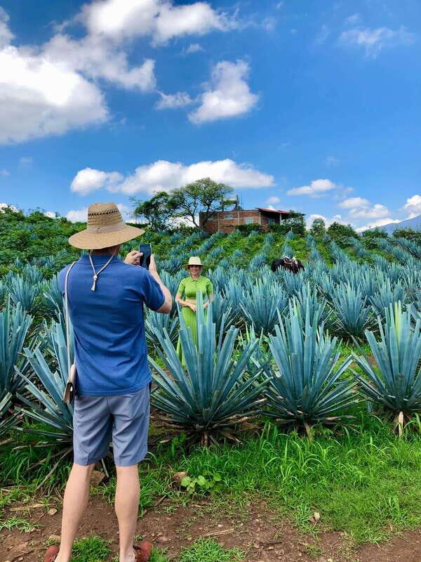 Tequila and Guachimontones: Private Full Day Tour - Key Points