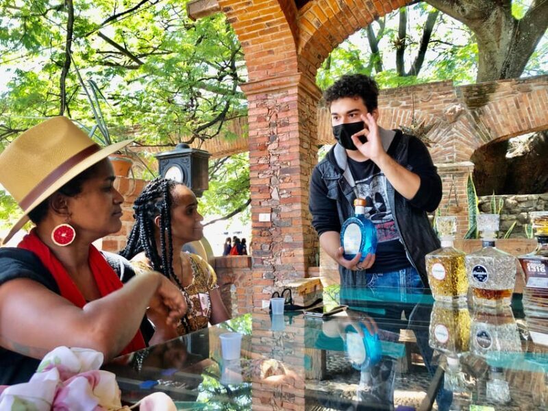 Tequila and Guachimontones: Private Full Day Tour - The Sum Up