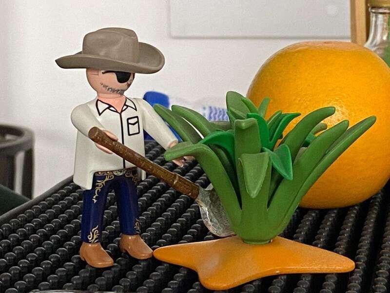 Tequila and Mezcal tasting in an educational tasting room - A Closer Look at the Experience