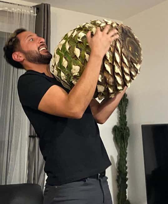 Tequila and Mezcal tasting in an educational tasting room - The Sum Up