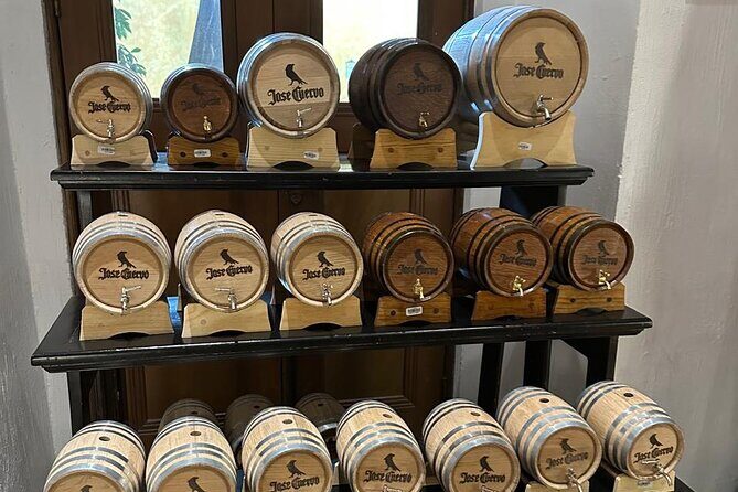 Tequila Experience History Flavor and Tradition - A Closer Look at the Tour Experience