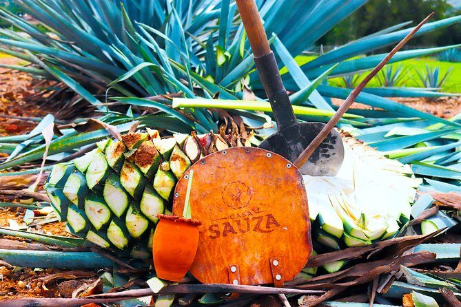 Tequila Express - Overview of the Tequila Express Experience