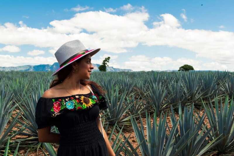 Tequila Full-Day Discovery Private Tour of Amatitan - The Sum Up: Is This Tour Worth It?