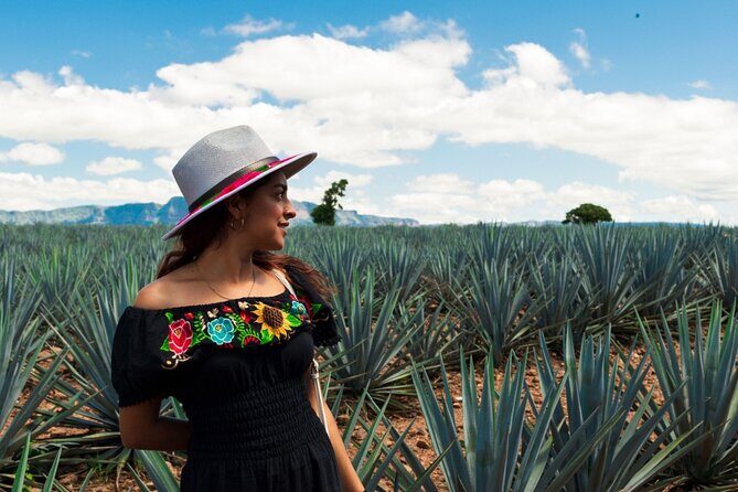 Tequila Full-Day Discovery Tour of Amatitan - Why This Tour Offers Great Value