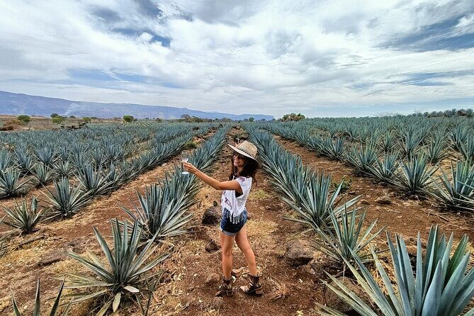 Tequila Full Experience! - The Sum Up: Who Will Love This Tour?