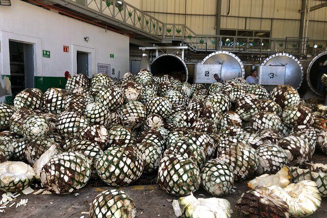 Tequila Full Experience! - FAQ