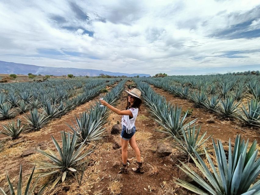 Tequila Full Experience - Hands-on Agave Planting and Harvesting