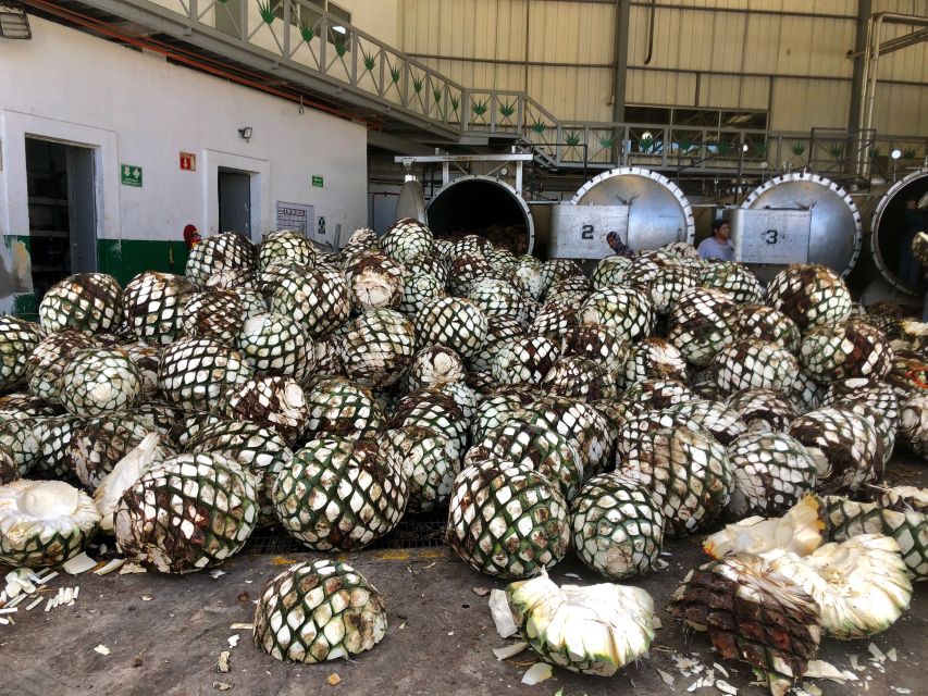 Tequila Full Experience - Frequently Asked Questions