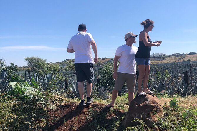 Tequila Jalisco Full Day Tour from Puerto Vallarta - Key Points