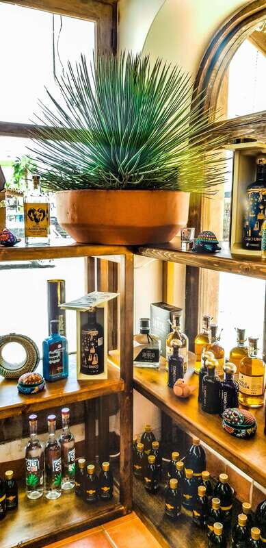 Tequila & Mezcal Tasting Experience - FAQ