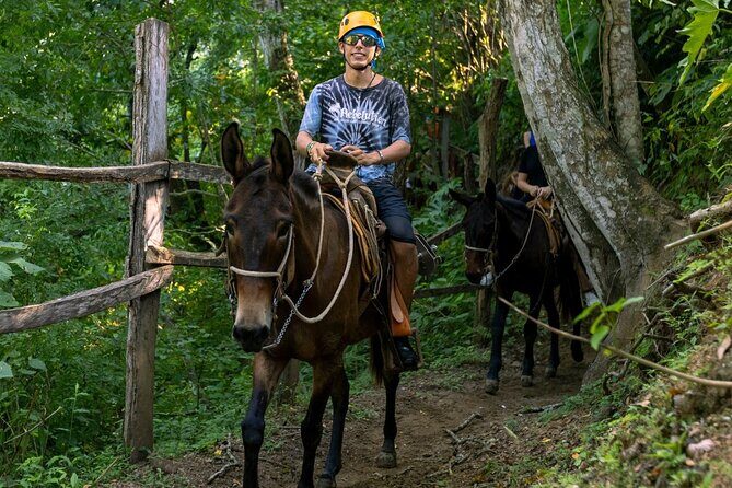 Tequila Suspension Bridge Zip and Walk Tour - What Travelers Say