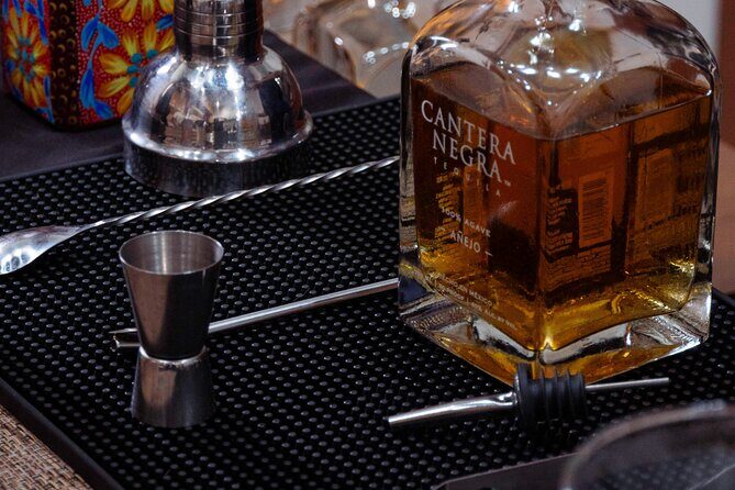 Tequila Tasting & Cocktail Workshop at Tequila Lighthouse - Cabo - Who Will Love This Experience?