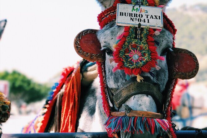 Tequila to Guadalajara - Private Transfer with English-speaking driver - Pricing and Value