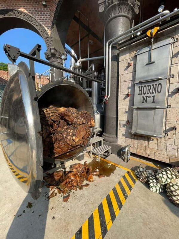 Tequila Tour from Guadalajara: Barrel Ride in Tequila - Practical Tips for a Great Experience