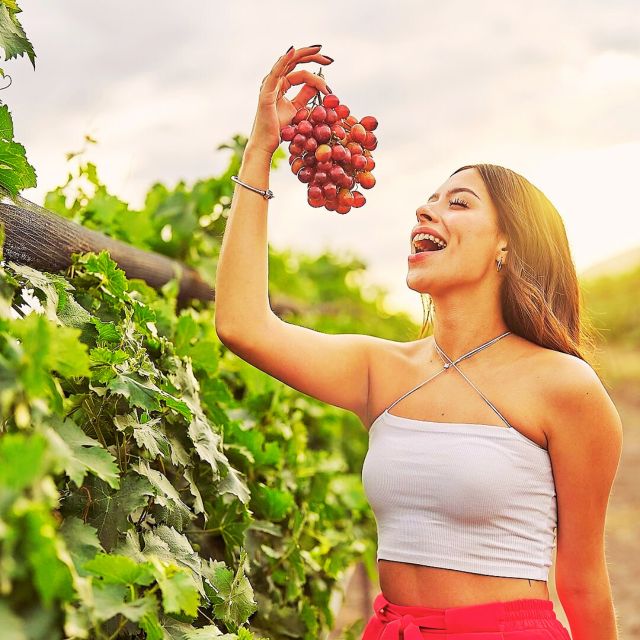 Tequisquiapan Cheese and Wine Route Premium - Tequisquiapan Exploration