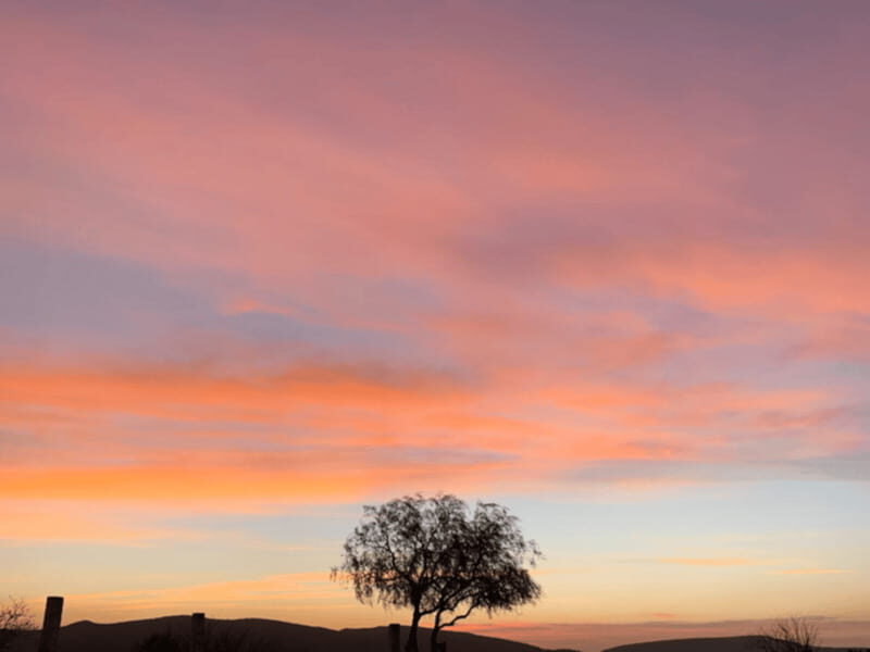 Tequisquiapan: UTV Adventure Tour with Guide - Key Points