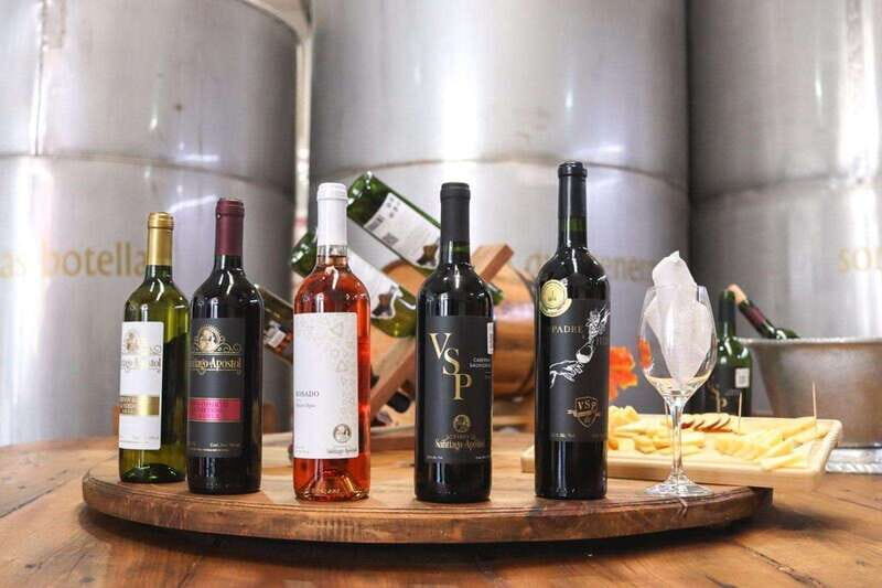 Tequisquiapan: UTV Adventure with Winery and Cheese Tasting - What Travelers Say