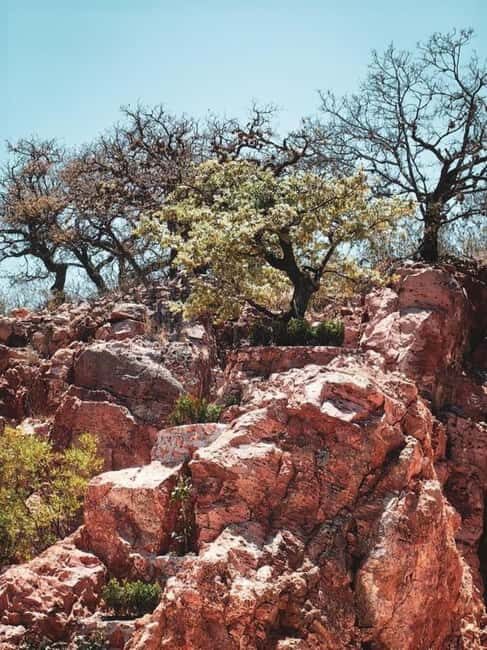 Tequisquiapan: UTV Tour to Opal Mine with Art Workshop - Key Points