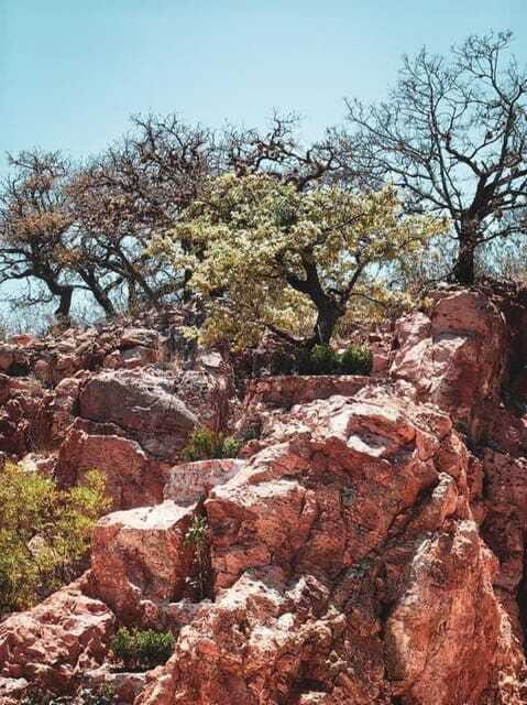 Tequisquiapan: UTV Tour to Opal Mine with Art Workshop - FAQs