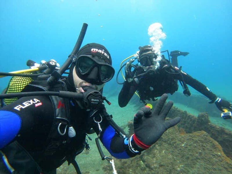 Terceira Azores: Scuba-Double dive Trip(certified Divers) - The Marine Environment and Wildlife