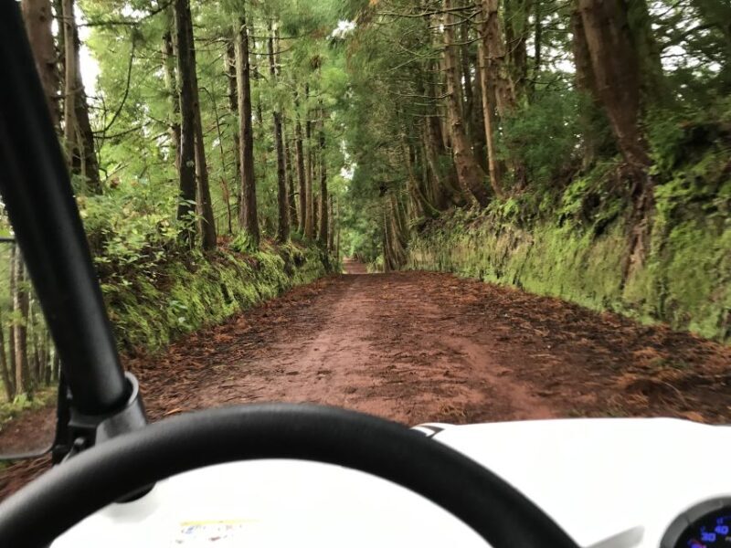 Terceira: Buggy Tour 4x4 West Side Azores Retreat - The Sum Up