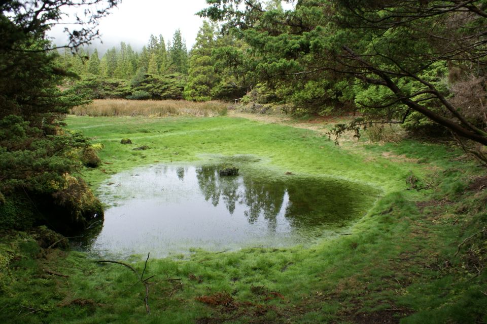Terceira Island: 4x4 Land Rover Tour With Traditional Lunch - Private Group Option