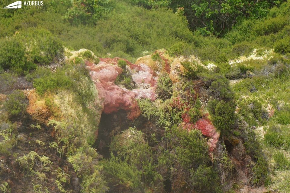 Terceira Island: Algar Do Carvão - the Caves Tour - Duration and Schedule